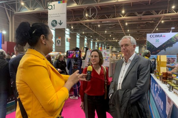 Systèmes d'abattage mobiles